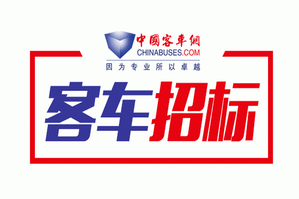湖北大冶市公共汽车公司纯电动公交车采购项目招标公告