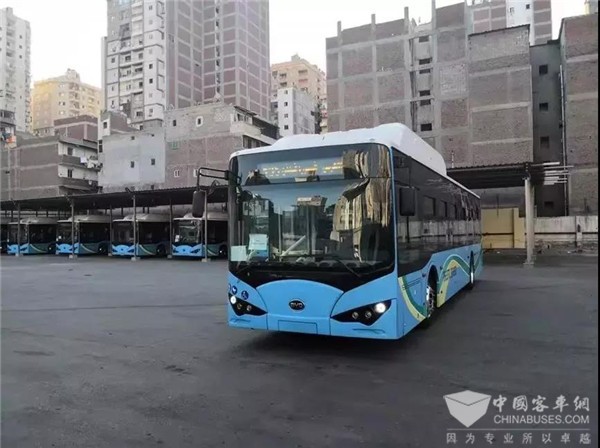15辆比亚迪纯电动大巴抵达埃及，助力中东地区公交电动化“零突破”
