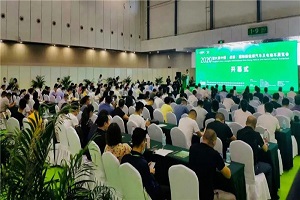 引领绿色交通新风尚！比亚迪全新公交B10携手C6闪耀亮相成都