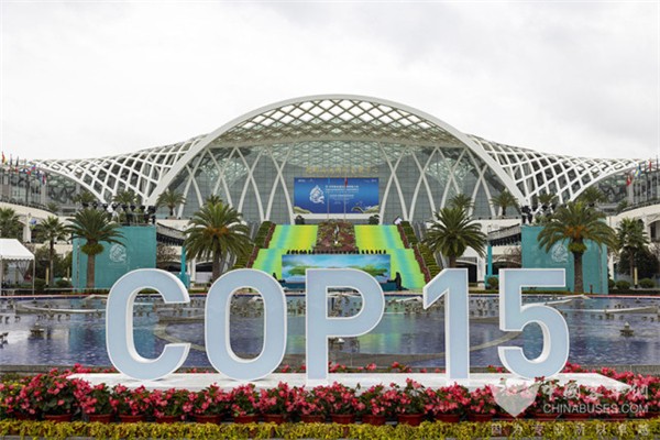相约春城 金龙纯电动轻客全力护航COP15盛会