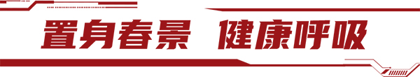 安凯客车 A9 高端客运 旅游市场