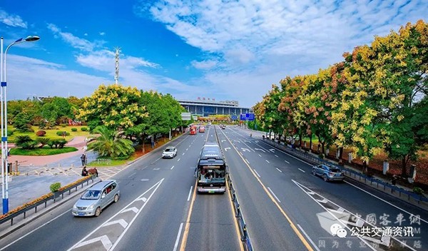 城市 公交专用道 便利措施
