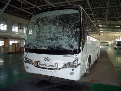 大金龙