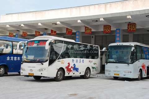 在伊春客运市场,许多车主都选择用大金龙的车