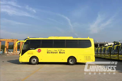 大金龙80辆精品校车出口沙特