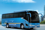 金龙客车6117系列LNG/CNG