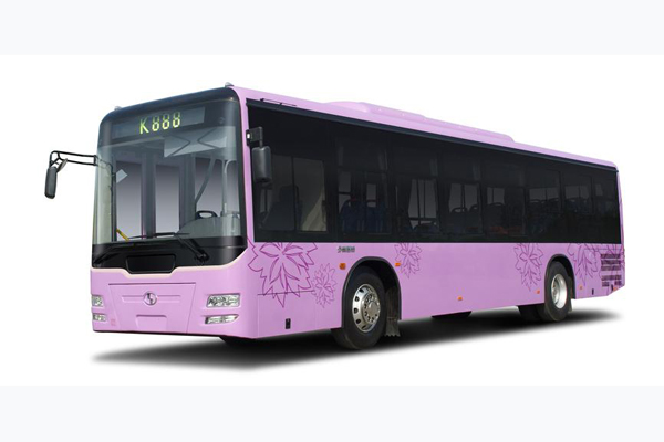 少林SLG6105T5GFR公交车（天然气国五10-42座）