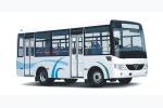 少林SLG6660T5GE公交车（天然气国五11-22座）