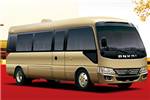 安凯HFF6700KQE4FB客车（汽油国四10-23座）