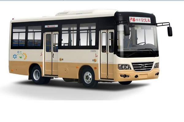 少林SLG6730C5GF公交车（柴油国五10-29座）