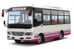 少林SLG6667C5GZ公交车（柴油国五11-25座）