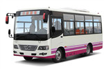 少林SLG6667C5GZ公交车（柴油国五11-25座）