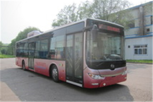 黄海DD6129CHEV7N公交车（NG/电混动国五18-42座）