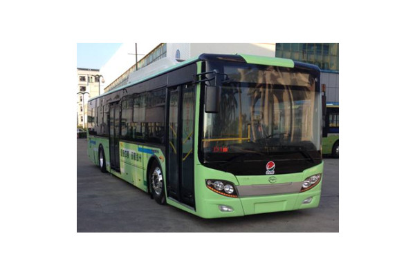 五洲龙FDG6121EVG1公交车（纯电动10-31座）