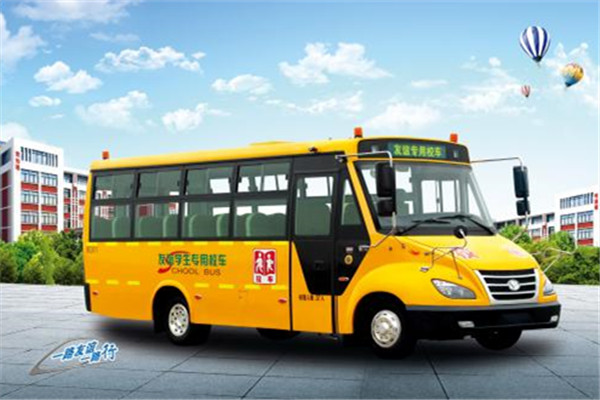 友谊ZGT6690DVY幼儿专用校车（柴油国五24-38座）