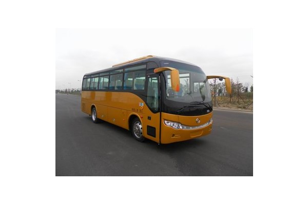 黄海DD6907C08客车（柴油国五24-40座）