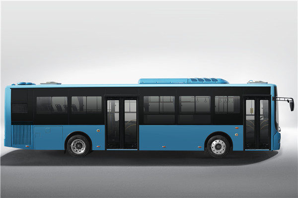 中车电动TEG6129BEV06公交车（纯电动10-38座）