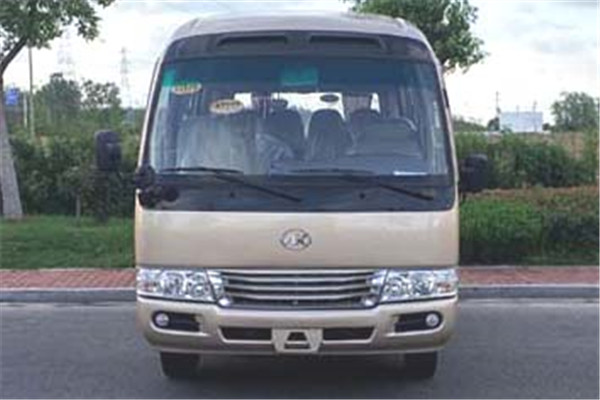 安凯HFF6606KQE4FB客车（汽油国四10-19座）