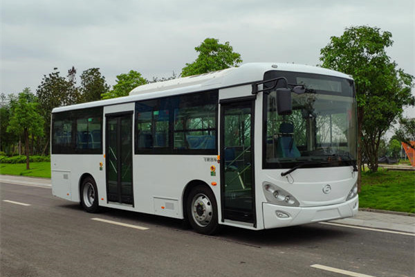 飞驰FSQ6850BEVG3公交车（纯电动17-28座）