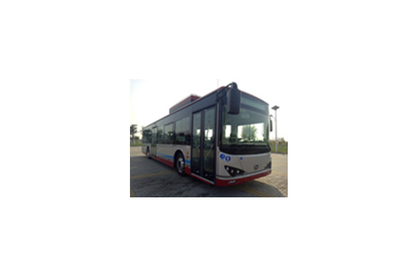 天津比亚迪TJK6126BEV公交车（纯电动33-41座）