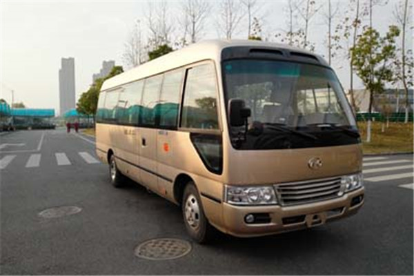 安凯HFF6701KQE4FB客车（汽油国四10-23座）